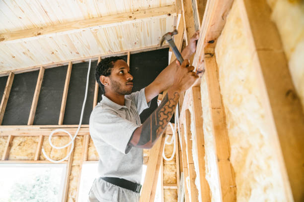 Best Professional Insulation Contractor  in Ransom Canyon, TX
