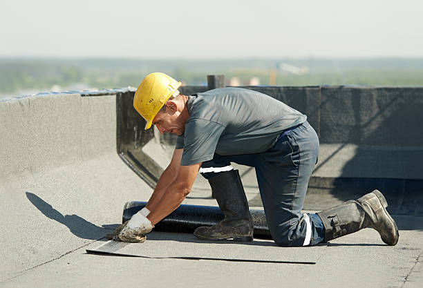Best Local Insulation Services  in Ransom Canyon, TX
